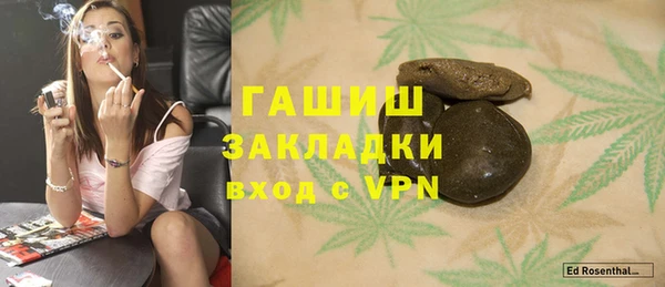 прущие грибы Надым