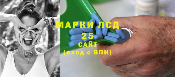 прущие грибы Надым